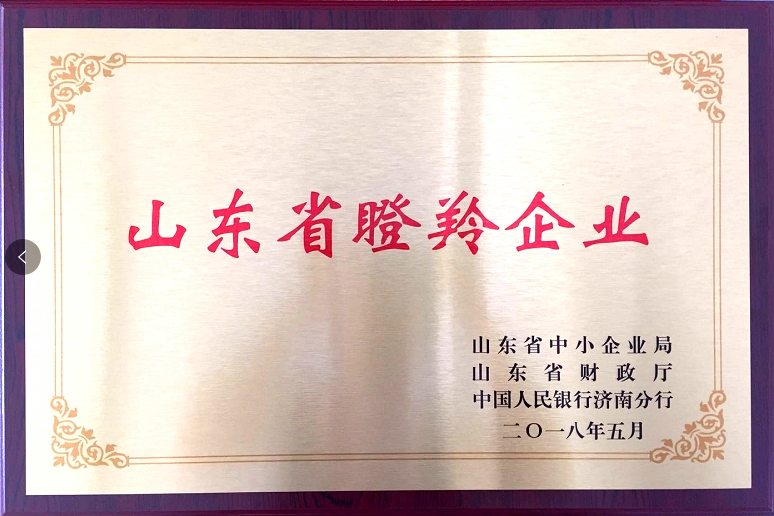 回首過去，不忘初心；展望未來，砥礪前行丨2019，龍港再出發！